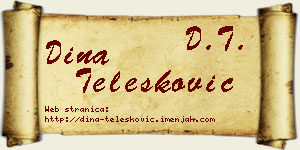 Dina Telesković vizit kartica